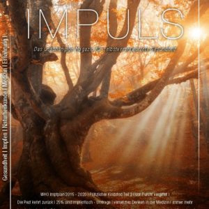 IMPULS Magazin Nr. 8 Q4/2017