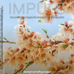 IMPULS Magazin Nr. 10 Q2/2018 – Gemeinschaftsprojekt